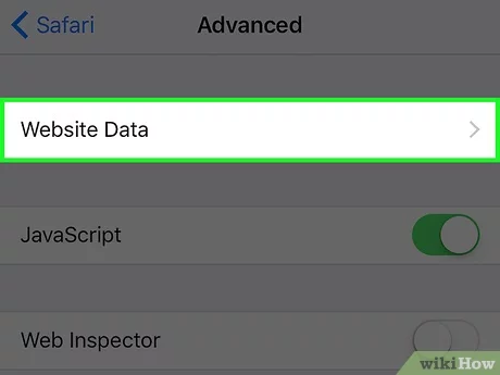 What is Website Data on an iPhone