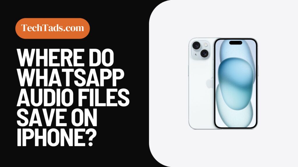 Where Do WhatsApp Audio Files Save On iPhone