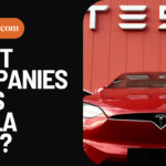 What Companies Does Tesla Own