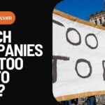 Which Companies Are Too Big To Fail