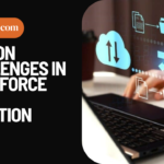 Common Challenges in Salesforce Data Migration