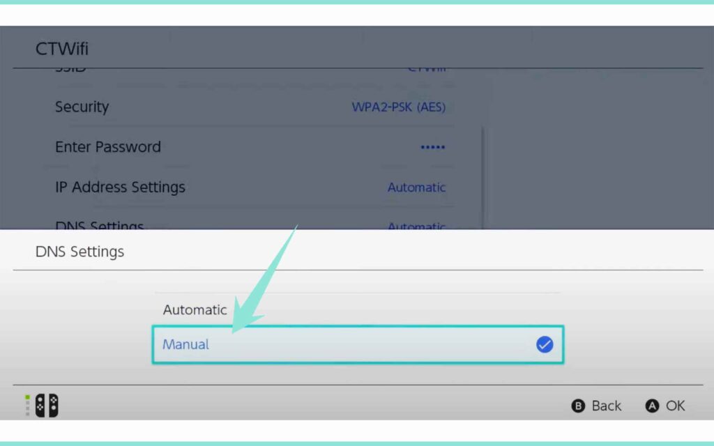 DNS setting automatic to manual