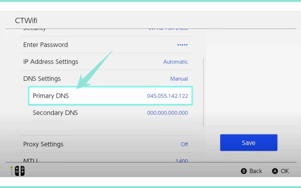 Enter custom DNS